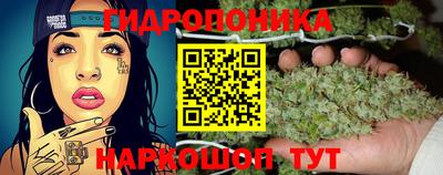 эйфоретик Конаково