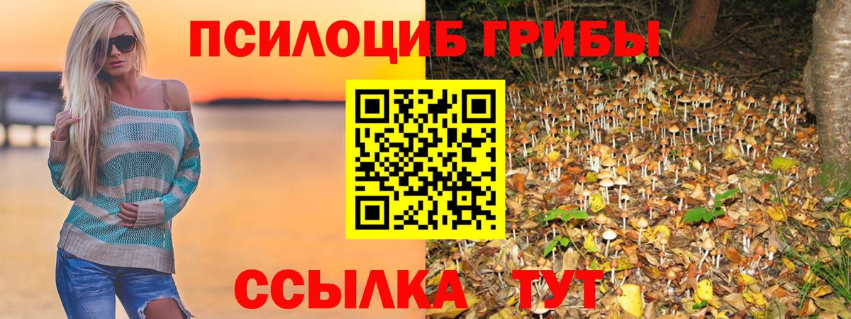 Псилоцибиновые грибы Cubensis  Вход с VPN  Верхняя Пышма  Галлюциногенные грибы Cubensis 