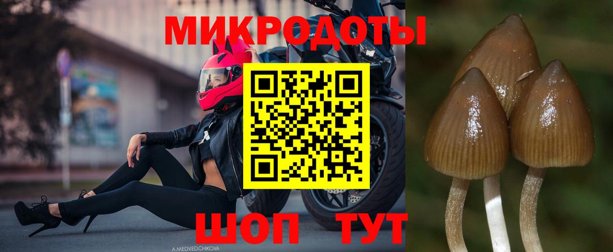 Галлюциногенные грибы MAGIC MUSHROOMS Верхняя Пышма